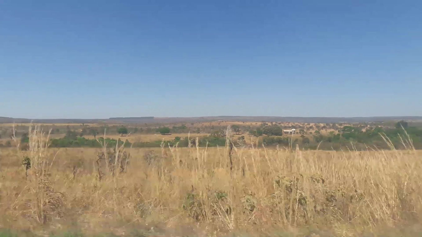 Cerrado